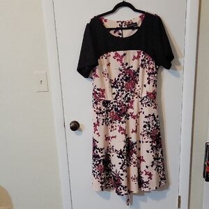 Lane Bryant Floral Black and Pink Fit and Flare Midi Dress